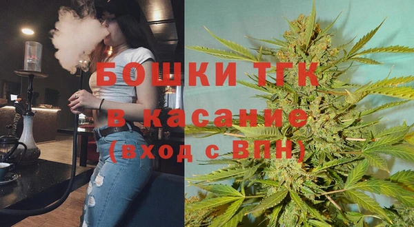 крисы Алексин