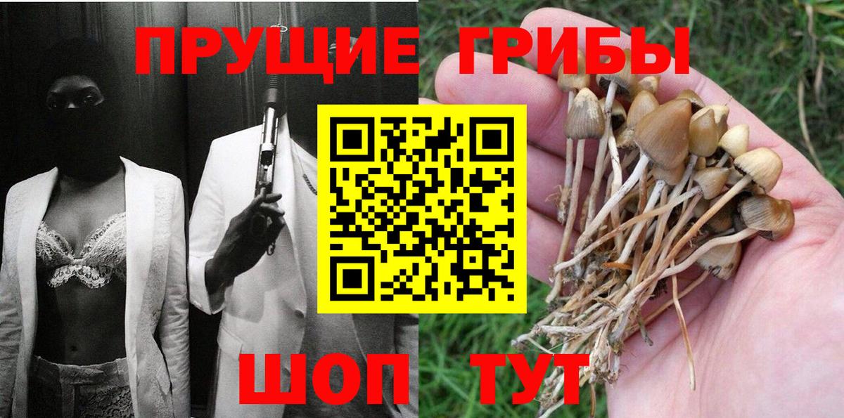 Псилоцибиновые грибы MAGIC MUSHROOMS Сарапул